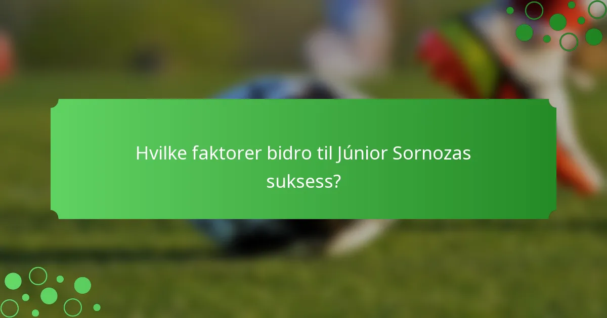 Hvilke faktorer bidro til Júnior Sornozas suksess?