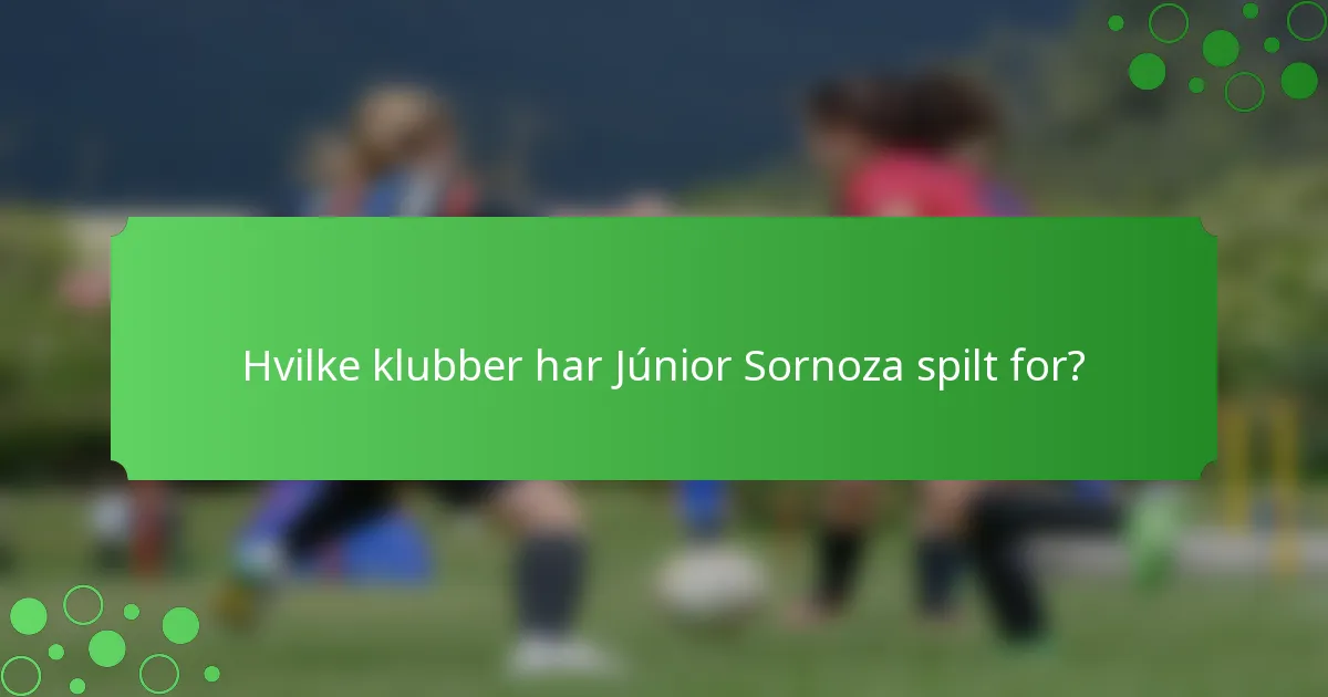 Hvilke klubber har Júnior Sornoza spilt for?
